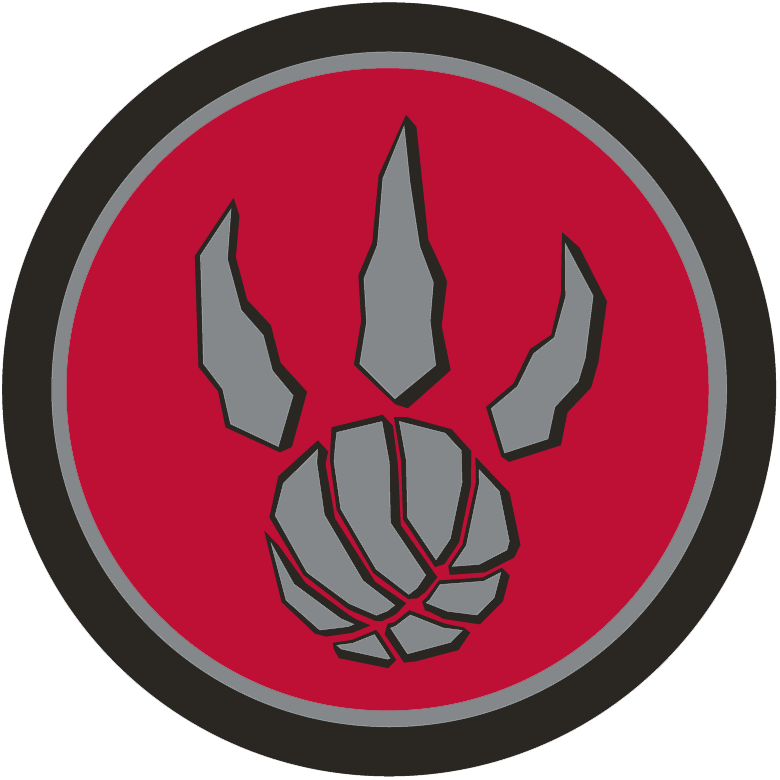Toronto Raptors 2011-2015 Alternate Logo fabric transfer version 2